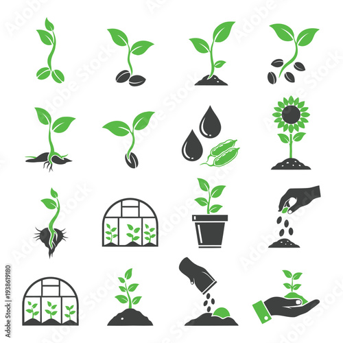 Seedlings growing in various environments with watering and nurturing actions depicted in illustrations