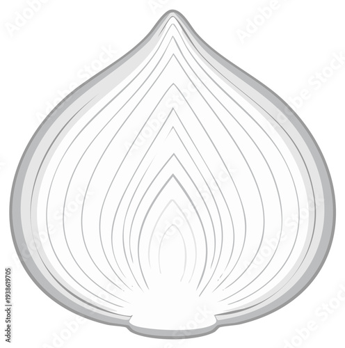 Monochrome Onion Half with Internal Structure Details, Botanical Illustration, Edible Vegetable, Culinary Ingredient