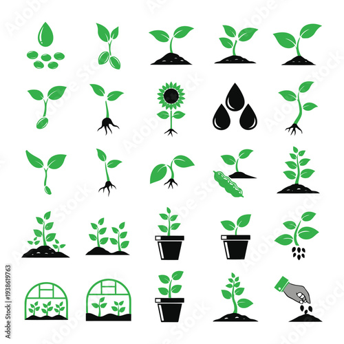 Various stages of plant growth illustrated in different environments and pots from seed to maturity