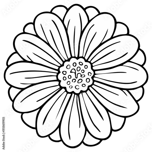 Daisy Flower Illustration with Bold Outlines for Coloring and Design Projects
