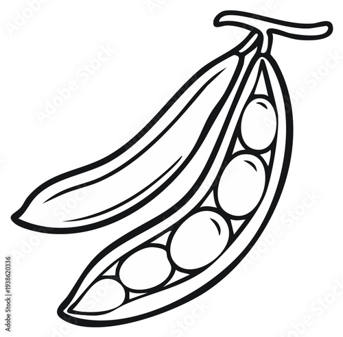 Outline Drawing of Green Peas in Pods for Food Illustration and Design Elements