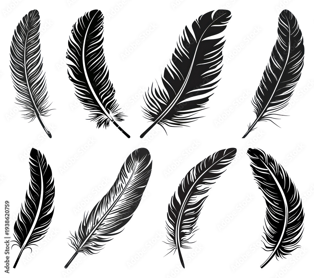 Obraz premium PNG Elegant black feathers gracefully arranged, transparent background