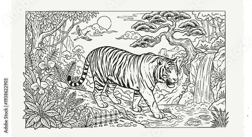 tiger in the jungle