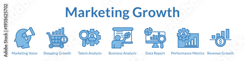 Marketing Growth Strategies with Brand Development E-Commerce Analytics Performance Metrics and Revenue Optimization