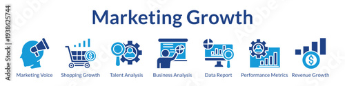 Marketing Growth Strategies with Brand Development E-Commerce Analytics Performance Metrics and Revenue Optimization