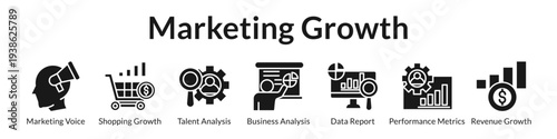 Marketing Growth Strategies with Brand Development E-Commerce Analytics Performance Metrics and Revenue Optimization