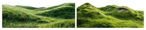 PNG Lush green grass landscape, transparent background