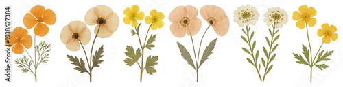 PNG Vintage floral border design, transparent background