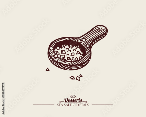 Pinch of Sea Salt in Wooden Spoon. Vector Line art illustration. Sketch style.