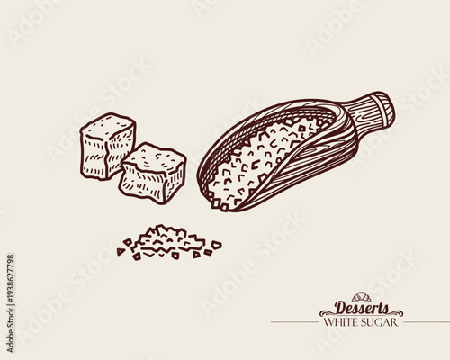 Vector illustration of sugar in a wooden scoop. White sugar cube. Line art Illustration, sketch style.