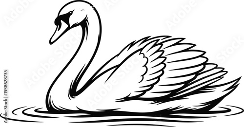 A black and white illustration of a swan floating on water with its wings spread