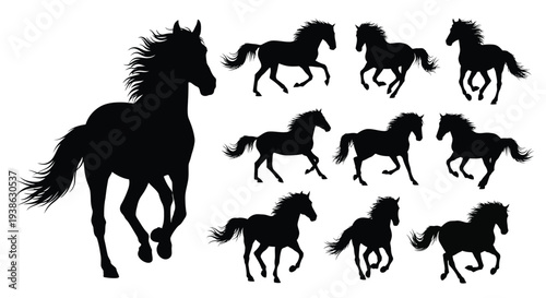 Black silhouettes of running horses in various poses on white background for graphic design
