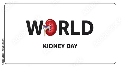 Anatomical illustration of human lungs in vibrant red and teal colors