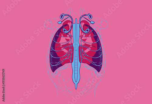 Detailed Anatomical Illustration of Human Lungs and Bronchial Structure against a Vivid Pink Background