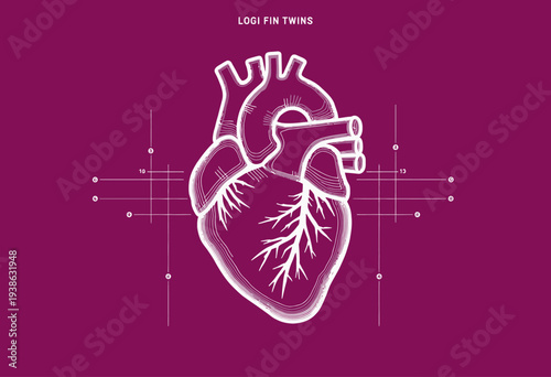 Illustrative Representation of the Human Heart Highlighting Anatomical Structures and Blood Flow on a Purple Background with Technical Diagram Elements
