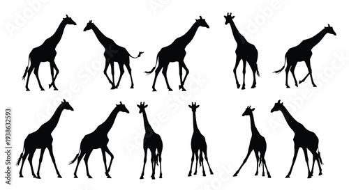 Collection of black giraffe silhouettes in various walking poses on a white background