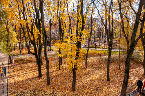 Voronezh, Russia, October 25, 2025: People stroll through the central Orlyonok Park on an autumn day