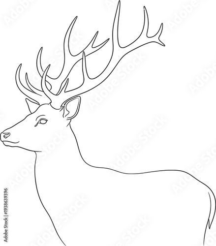 Elegant one line drawing of a majestic stag s head in profile showcasing its impressive antlers