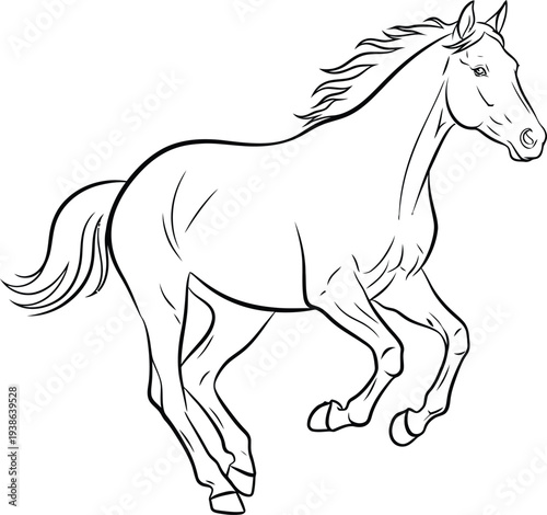 A detailed line drawing depicts a horse in motion showcasing its musculature and elegant form