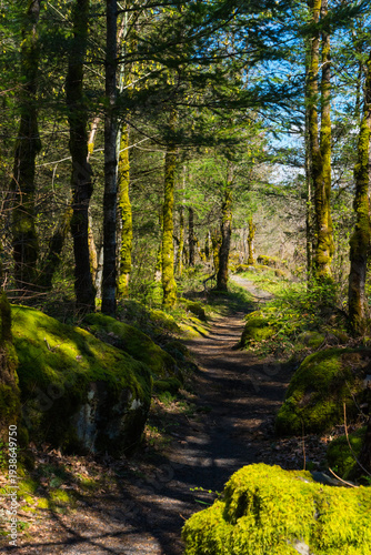 North Bonneville Dam Heritage Trails, Washington State