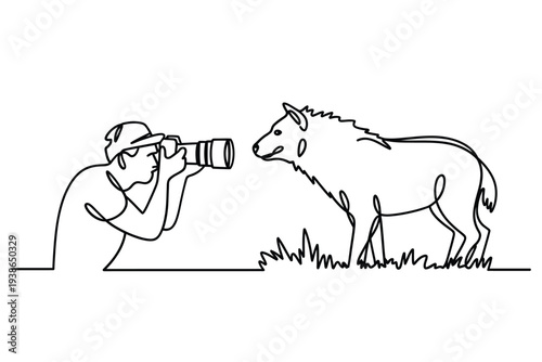 A photographer captures a wild cape buffalo in a single line drawing