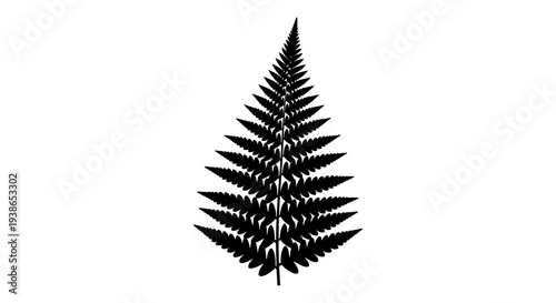Black Silhouette of a Delicate Fern Frond with Intricate Leaflets Against a White Background