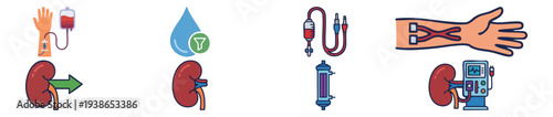 Kidney and Dialysis Minimalist Color Icon Set Flat Vector Illustration on Transparent Background