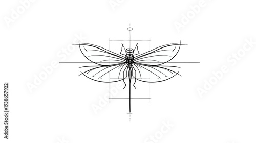 A simple, symmetrical line drawing of a dragonfly, with wings spread and body centered