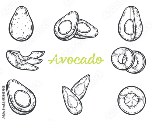 Avocado set, tropical fruit collection, whole, sliced in half, quarter, rings, with seed, food preparation, cut for toast, black and white illustration, engraving isolated