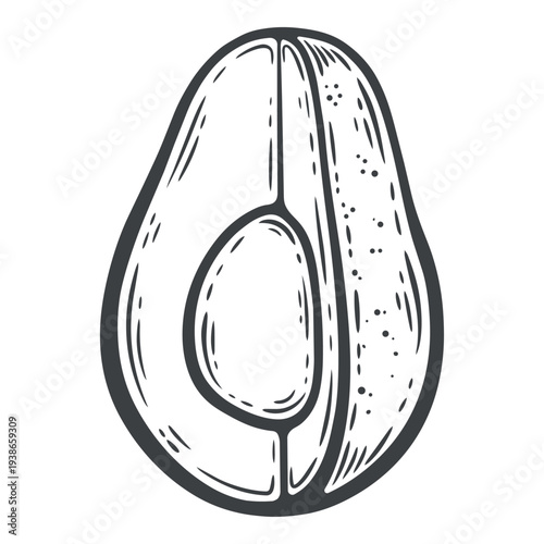 Avocado fruit, segment cut, with seed, black and white illustration, engraving isolated