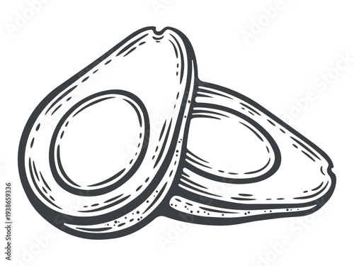 Two avocado fruits, cut in half, seed, black and white illustration, hand-drawn engraving isolated