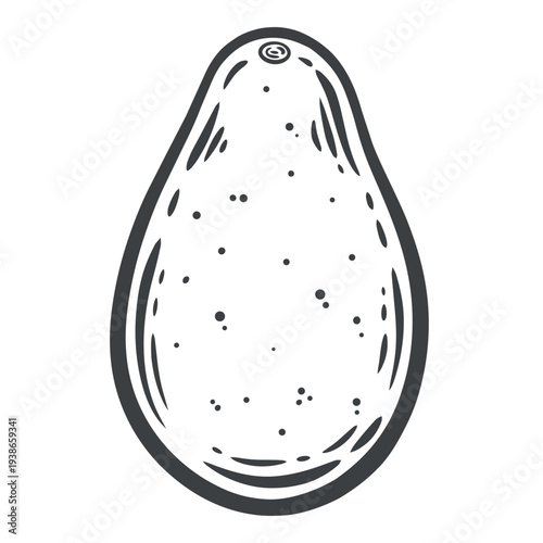 Avocado, fresh, whole, raw, black and white illustration, engraving isolated