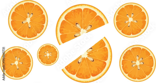 Several bright orange citrus fruit slices are scattered across a white.