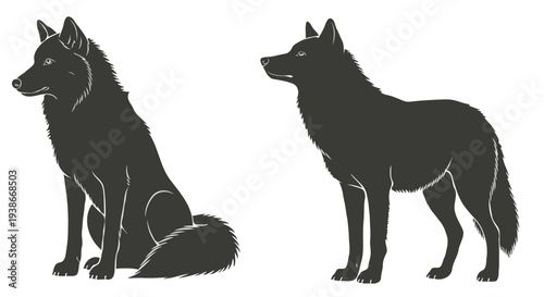 Silhouette of two dogs in different poses