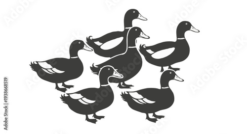 Group of six ducks in various poses