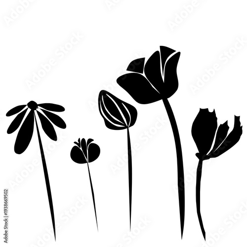 vector illustration of a flower black and white background 