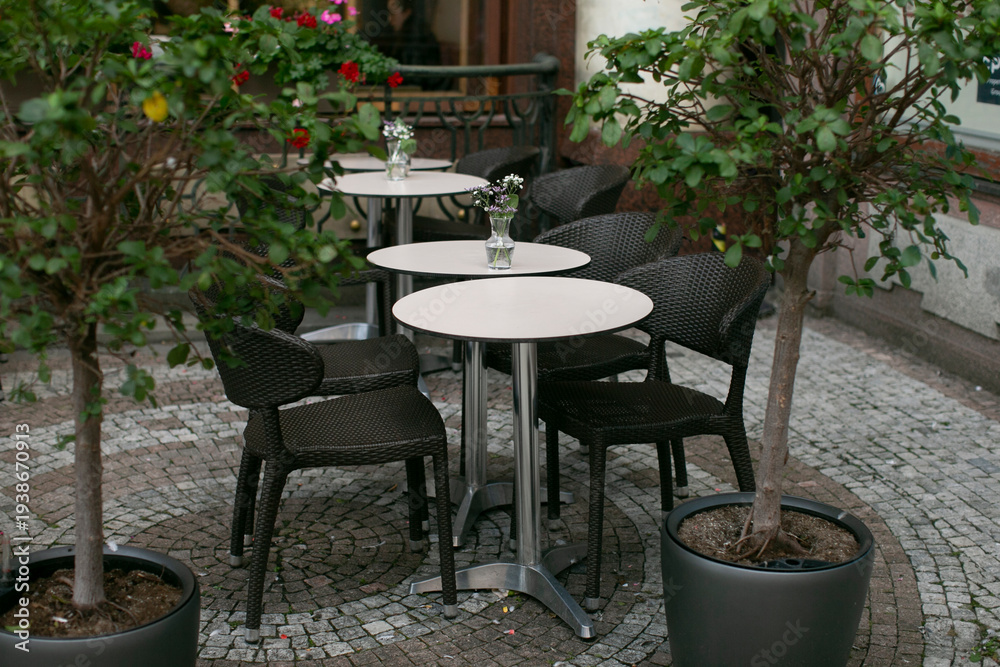 Fototapeta premium Empty outdoor cafe tables and chairs, cobblestone pavement lined with potted trees and planters, wicker seating around round bistro tables, subdued