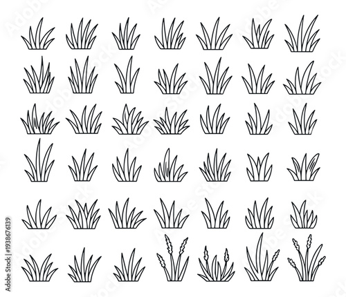 Grass and plant icons set, botanical nature foliage symbols, outline vector collection on transparent background