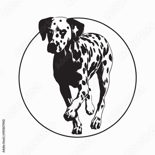 Spotted Dalmatian Dog Standing Silhouette Vector On White Background