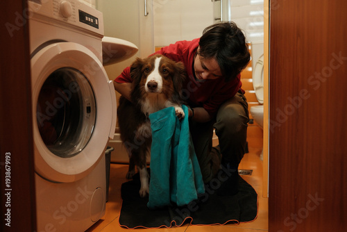 Woman drying Australian Shepherd with towel near washing machine after bath. Indoor pet care scene focused on grooming and home routine.