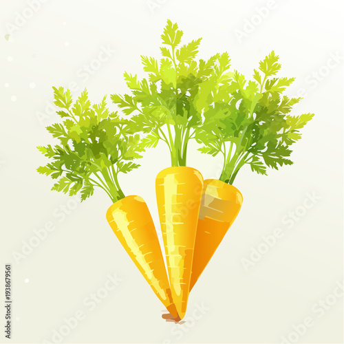 Fresh Carrots with Green Leafy Tops.