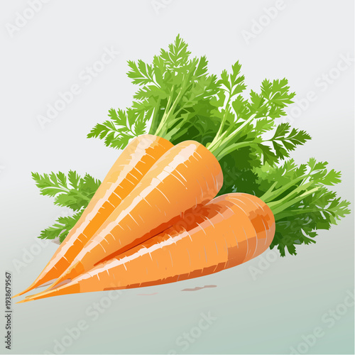 Fresh Carrots with Green Leafy Tops.