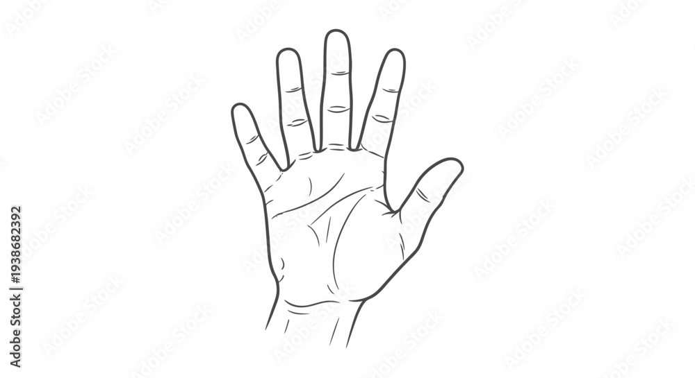 Obraz premium Human Hand Palm Up Closeup View.