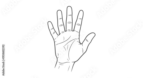 Human Hand Palm Up Closeup View.