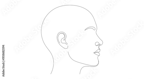Side View of a Human Head.