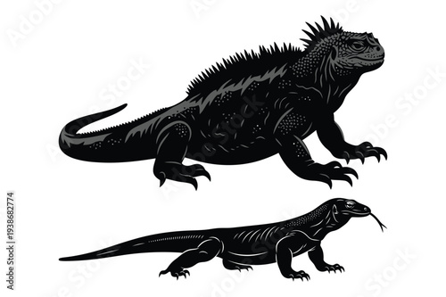 Marine Iguana and Komodo Dragon Vector Illustration
