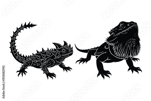 Thorny Devil and Bearded Dragon Vector