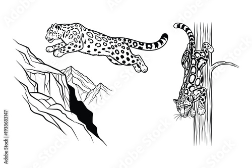 Leopard Jumping and Climbing Tree Vector