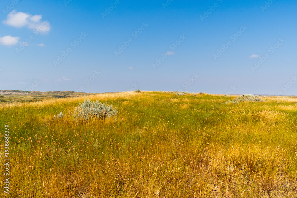 Fototapeta premium Badlands Ridge Framed by Prairie Grass