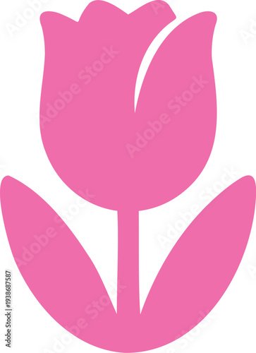 Vibrant pink tulip flower stands alone with soft curves and a cheerful botanical appeal